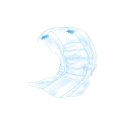 Trixie Pieluchy Dla Dorosłych Psów M-L 46-60cm 12szt