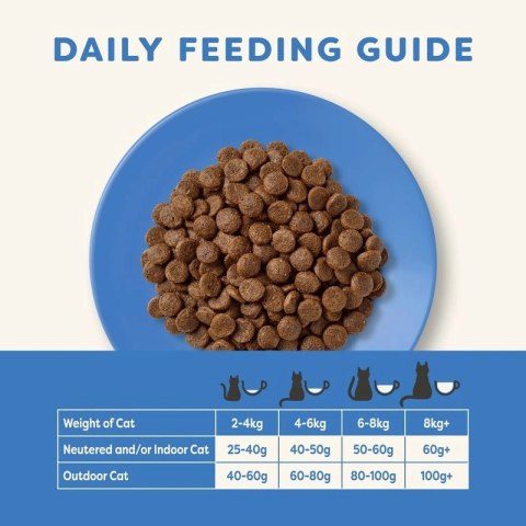 APPLAWS Complete Dry Adult Ocean Fish With Salmon 6kg