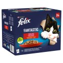 Felix Fantastic Wiejskie Smaki W Galaretce 24x85g