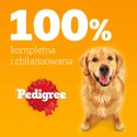 Pedigree Mokra Karma Dla Dorosłych Psów Z Wołowiną W Galaretce 1200g
