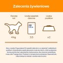 Purina Cat Chow Adult Łosoś I Zielona Fasolka 85g