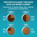 Purina One Cat Adult Karma Z Łososiem Dla Kota 800g