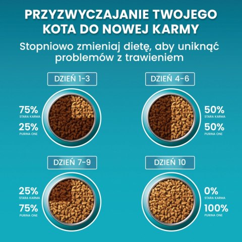 Purina One Cat Adult Karma Z Łososiem Dla Kota 800g