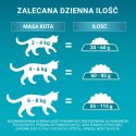 Purina One Cat Adult Karma Z Łososiem Dla Kota 800g