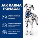 Hill's PD Prescription Diet Canine u/d Urinary Care 10kg