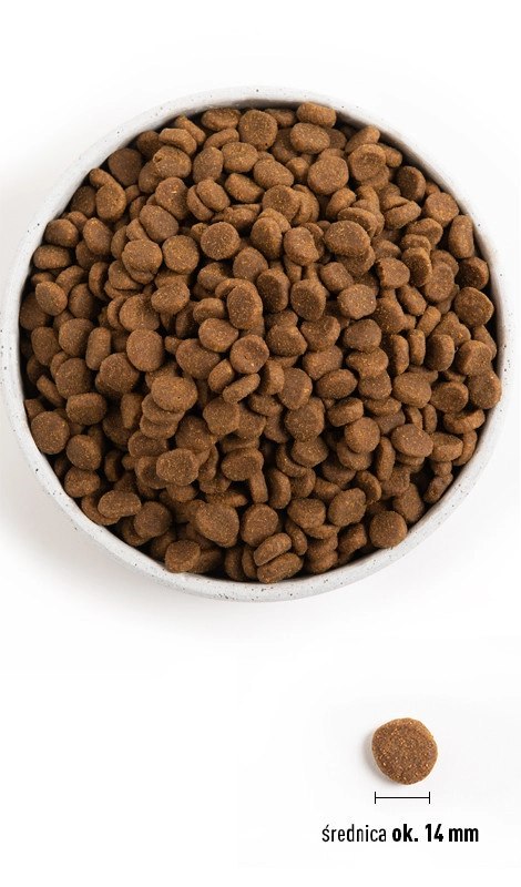 Orijen Dog Puppy 6kg