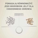 PURINA ONE Mini Active Kurczak, ryż - sucha karma dla psa - 800g