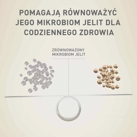 PURINA ONE Mini Active Kurczak, ryż - sucha karma dla psa - 800g