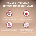 PURINA ONE Mini Adult Wołowina, ryż - sucha karma dla psa - 800g