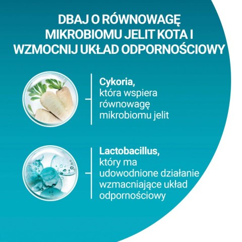 Purina One Cat Adult Z Kurczakiem Dla Kota 800g