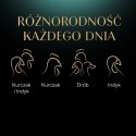 SHEBA Select Slices drób/kurczak/indyk w sosie - mokra karma dla kota - tacka - 32x85 g Sheba