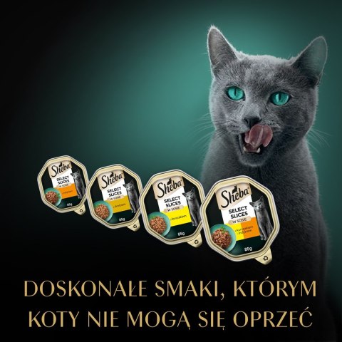 SHEBA Select Slices drób/kurczak/indyk w sosie - mokra karma dla kota - tacka - 32x85 g Sheba