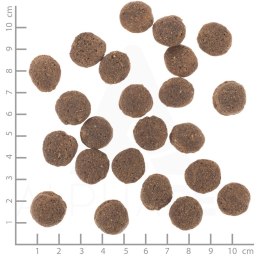 WOLFSBLUT VETLINE HYPOALLERGENIC 12KG (WYPRZEDAŻ) WOLFSBLUT