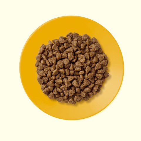 APPLAWS CAT Kitten Kurczak - karma dla kociąt z wysoką zawartością mięsa - 2kg Applaws