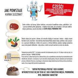Dolina Noteci Premium Wołowina sucha karma dla psa 3kg DOLINA NOTECI