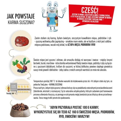 Dolina Noteci Premium Wołowina sucha karma dla psa 3kg DOLINA NOTECI