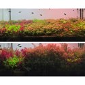 Neo Soil Plant No CO2 RICH - podłoże do akwarium roślinnego 8l
