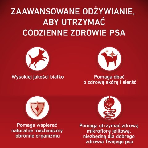 PURINA ONE MED/MAX Adult Dog Lamb & Rice 2,5kg PURINA NESTLE