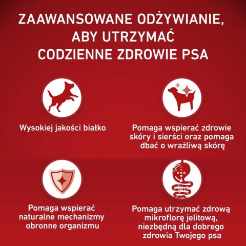 PURINA ONE MEDMAX Adult Sensitive Salmon&Rice 2,5kg PURINA NESTLE