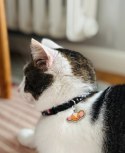 ZOLUX Obroża dla kota z zawieszką w kształcie myszy CHATOUILLE czarna ZOLUX