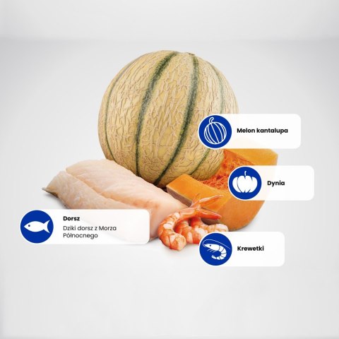 FARMINA N&D Ocean Cat Cod, Shrimp&Pumpkin - sucha karma dla kociąt - 1,5 kg Farmina