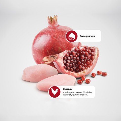 FARMINA N&D Prime Chicken & Pomegranate Adult - sucha karma dla kota - 1,5kg Farmina