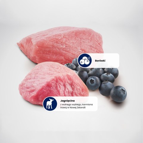 FARMINA N&D Prime Lamb & Blueberry Adult - sucha karma dla kota - 5kg Farmina
