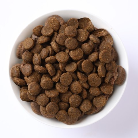 FARMINA N&D Prime Lamb & Blueberry Adult - sucha karma dla kota - 5kg Farmina
