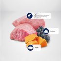 FARMINA N&D Pumpkin Lamb & Blueberry Adult Mini - sucha karma dla psa - 7 kg Farmina