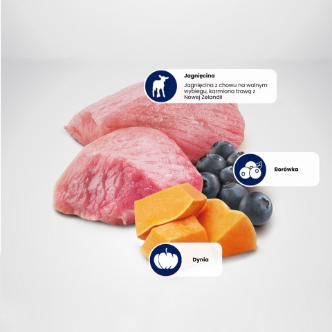 FARMINA N&D Pumpkin Lamb & Blueberry Puppy Mini - sucha karma dla szczeniąt - 2,5 kg Farmina