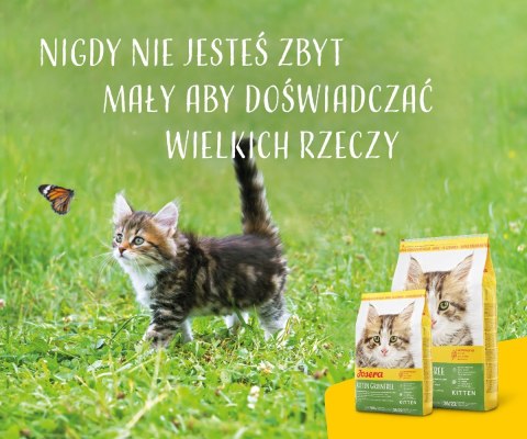 JOSERA Kitten grainfree - sucha karma dla kota - 2kg JOSERA