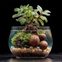 Kruger Meier ProNature Ball 15 - kulki nawozowe z biostymulatorem