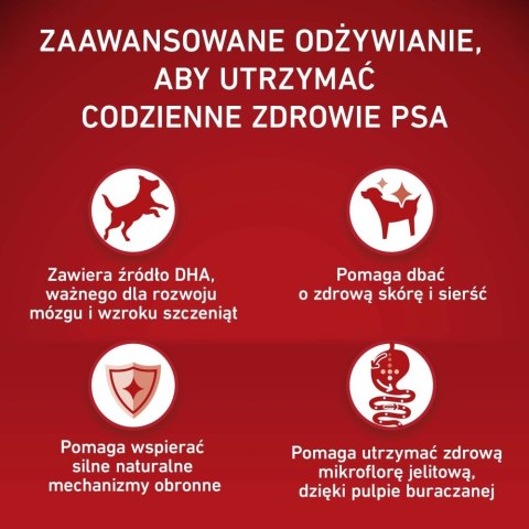 PURINA ONE MED/MAX Junior Chicken & Rice 2,5kg PURINA NESTLE