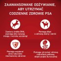 PURINA ONE MED/MAX Junior Chicken & Rice 7kg PURINA NESTLE