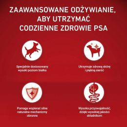 PURINA ONE MINI Dog Adult Beef & Rice 1,5kg PURINA NESTLE