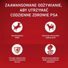 PURINA ONE MINI Dog Sensitive Salmon & Rice 1,5kg PURINA NESTLE