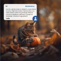 Farmina N&D Pumpkin Neutered sucha karma z przepiórką dla kotów po zabiegu kastracji 5kg Farmina