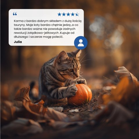 Farmina N&D Pumpkin Neutered sucha karma z przepiórką dla kotów po zabiegu kastracji 5kg Farmina