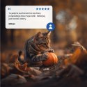 Farmina N&D Pumpkin Neutered sucha karma z przepiórką dla kotów po zabiegu kastracji 5kg Farmina