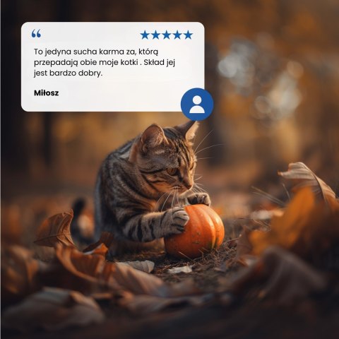 Farmina N&D Pumpkin Neutered sucha karma z przepiórką dla kotów po zabiegu kastracji 5kg Farmina