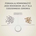 Purina Karma One Mini Active bogata w kurczaka z ryżem 800g PURINA NESTLE