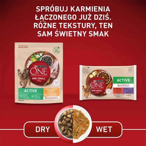 Purina Karma One Mini Active bogata w kurczaka z ryżem 800g PURINA NESTLE