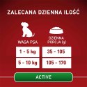 Purina Karma One Mini Active bogata w kurczaka z ryżem 800g PURINA NESTLE