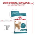 ROYAL CANIN FHN Cat Ageing 15+ 4kg Royal Canin