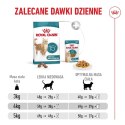 ROYAL CANIN FHN Cat Ageing 15+ 4kg Royal Canin