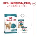 ROYAL CANIN FHN Cat Ageing 15+ 4kg Royal Canin