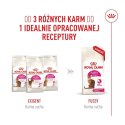 ROYAL CANIN FHN Cat Exigent Fussy 4kg Royal Canin