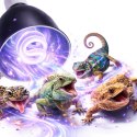 Terrario LUNOONE 2.0 - lampa do terrarium