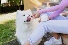 VIRBAC MOVOFLEX miękkie korokiety na stawy dla psa L Virbac