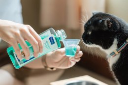 VIRBAC VET AQUADENT płyn do higieny jamy ustnej 500ml Virbac